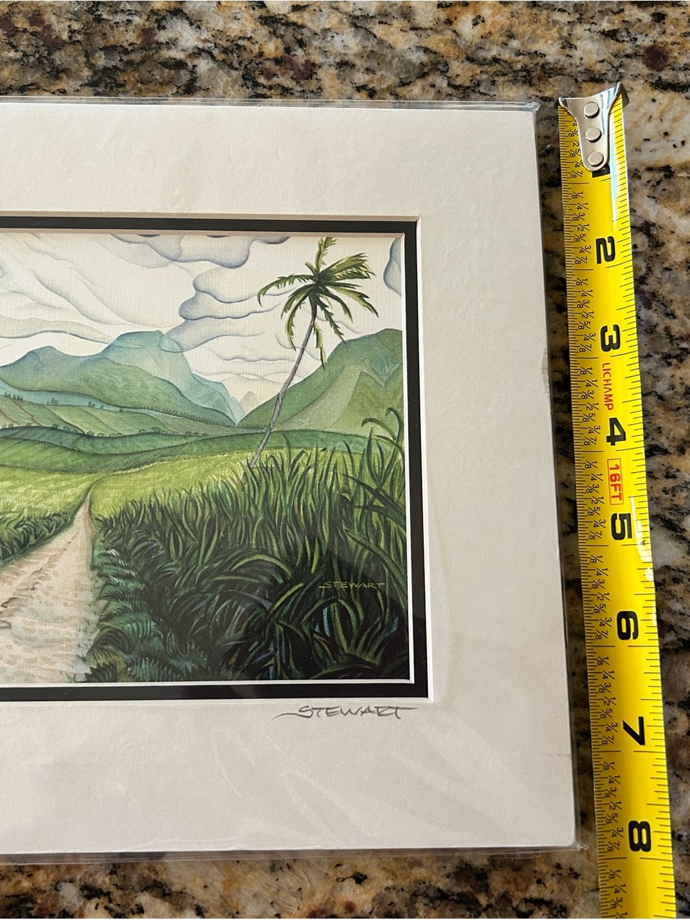 Signed Hawaiian Tropical Watercolor Wall Art - Picture 2 of 10